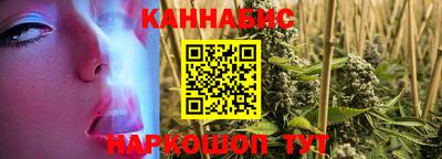 Альфа ПВП Бийск
