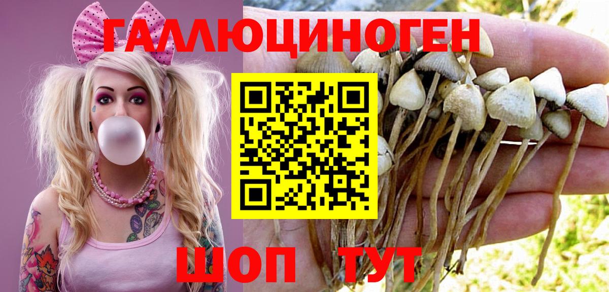 наркошоп  Галлюциногенные грибы мицелий  Псилоцибиновые грибы Magic Shrooms  Вход с VPN  Озёрск 