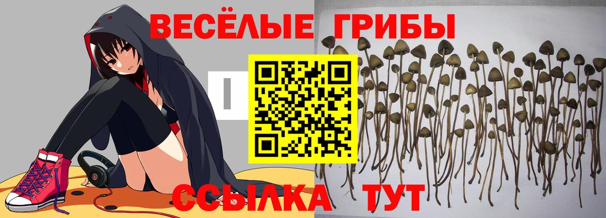 Галлюциногенные грибы мицелий Озёрск