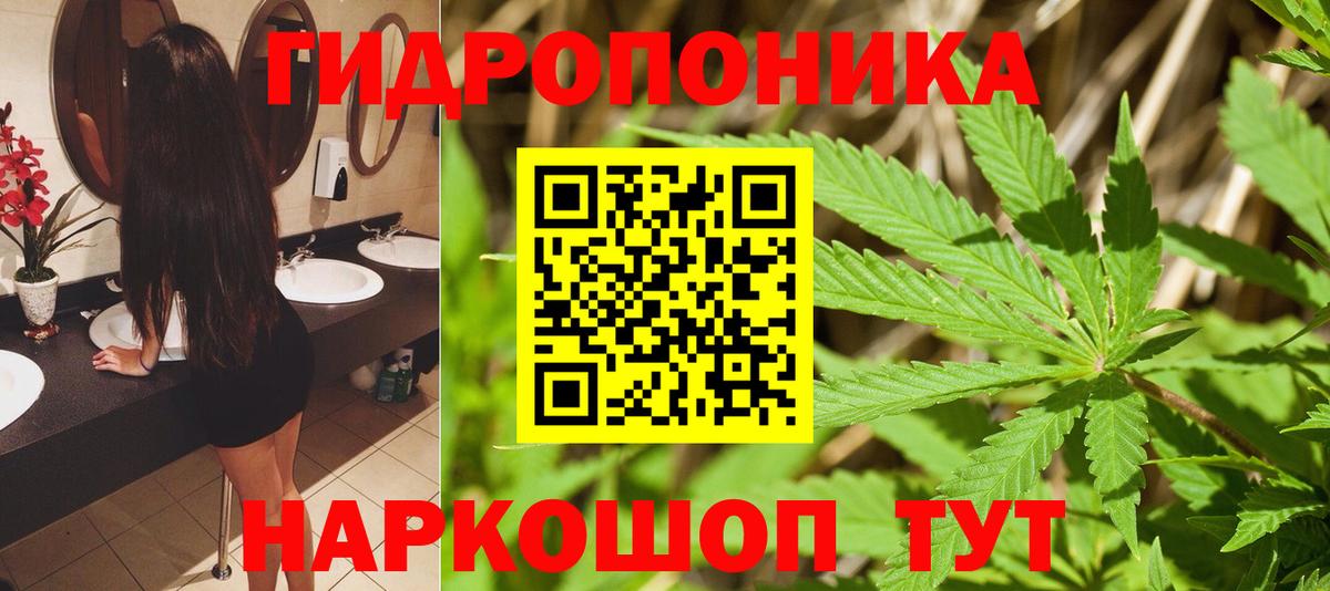 Озёрск  Марихуана Amnesia  Бошки Шишки план  Вход с VPN 